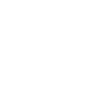 Logo DMB Service